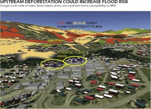 This figure shows the Kimberley town center with an overlay of potential flood areas as identified in the municipal flood risk study (highlighted through circles) and the areas for future mountain pine beetle susceptibility, derived from the susceptibility model (orange/dark shading in black/white for high susceptibility and yellow/light shading in black/white for medium). It led to the conclusion that increased mountain pine beetle damage will increase the amount of dead wood and therefore increase flood risk from debris jams at the highlighted bottlenecks (geodata© 2009 Google)