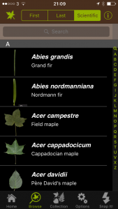 Browsing species by scientific or common names